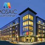 mosiac shot right after it went live